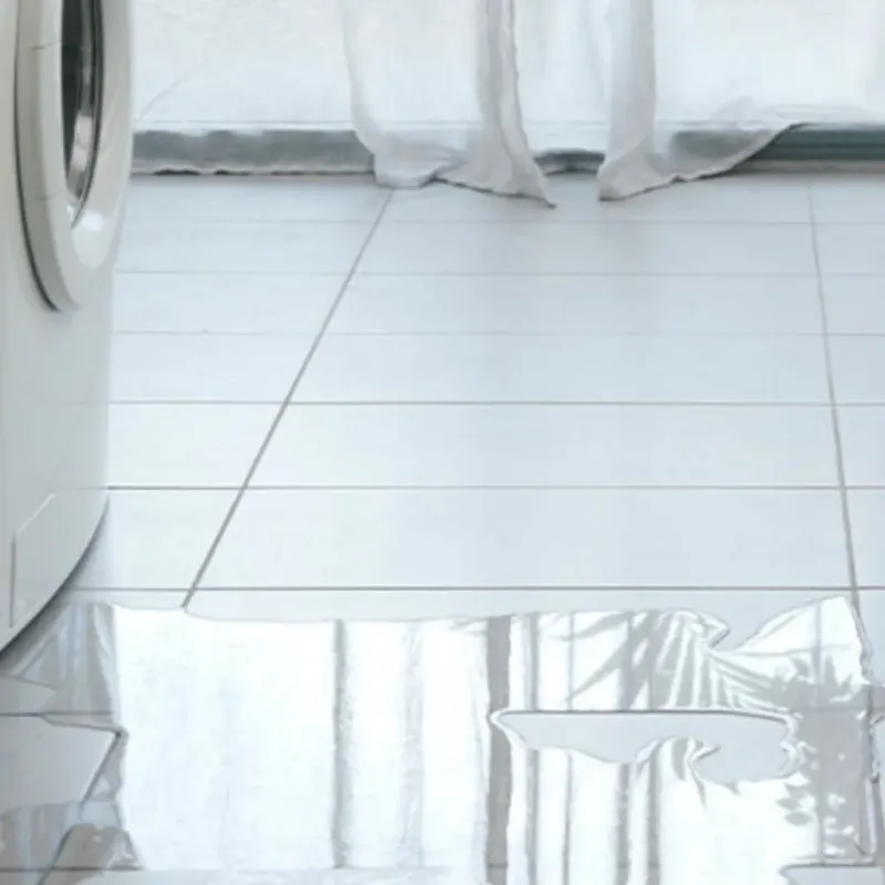 Appliance Leak Cleanup in Union, OR